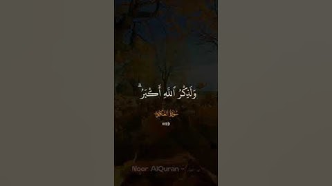إن الصلاة تنهى عن الفحشاء والمنكر للقارئ عبد الرحمن مسعد