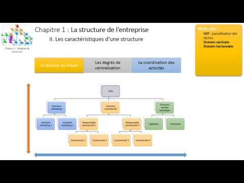Thème 3 - Chapitre 1 : La structure de l&rsquo;entreprise