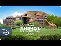 Disney’s Animal Kingdom Lodge | Walt Disney World