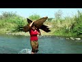 Primitive In forest one - woman finding Cook chicken for dog - Cook chicken Catching crocodile