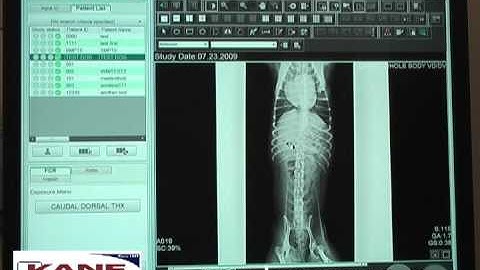 FCRView Basic Viewing Tools.avi