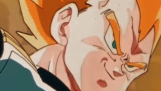 Pure Evil To The Core-Vegeta Edit Fein X Carnival