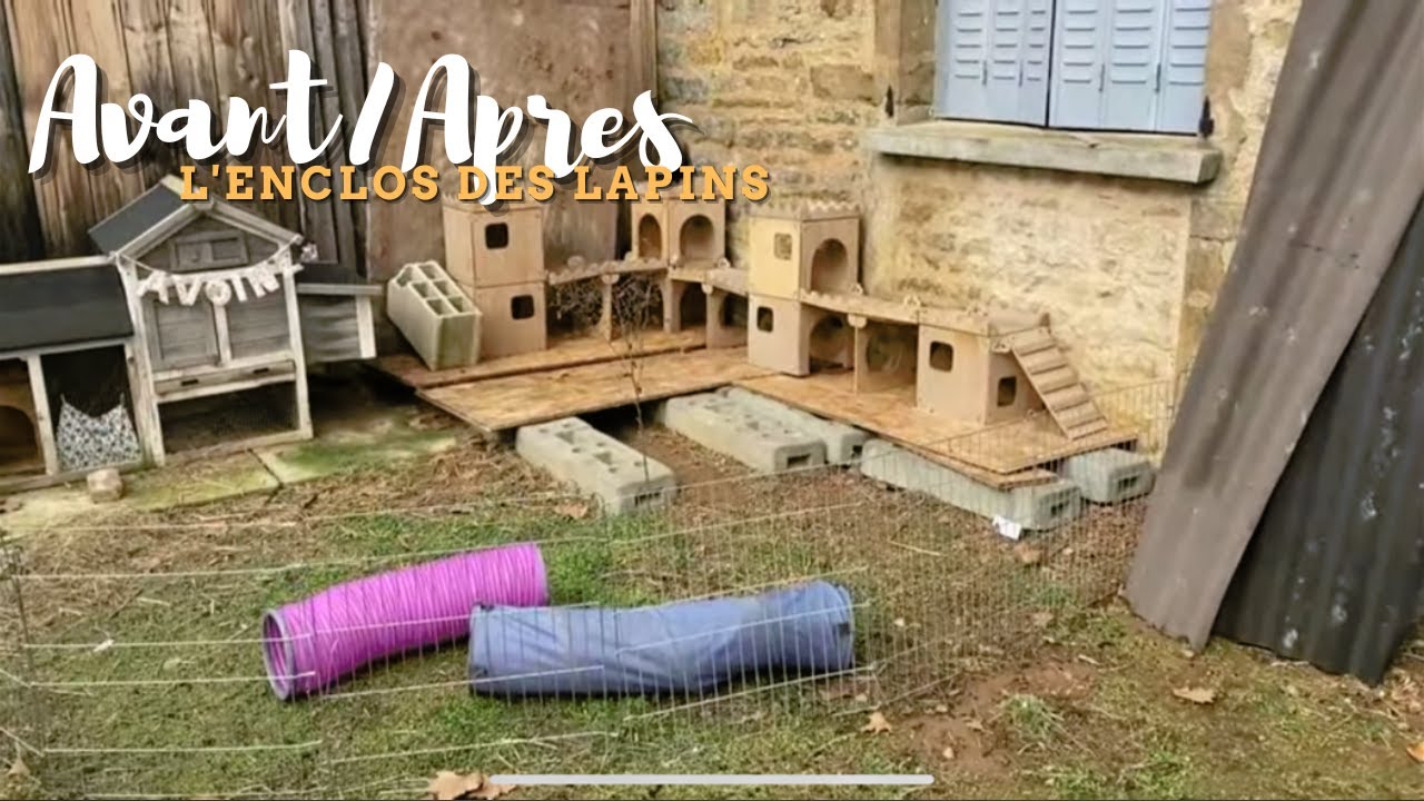 Avant/Après on réaménage l'enclos des lapins