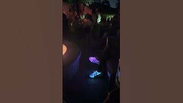 Led light up shoes! Amazon link in comments