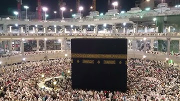 سورة الحشر ياسر سلامة