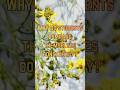 The Laws of Universe | Student Truths Part 15 | Beyond Marks Series #ThsLawsOfUniverse #YoungAuthor