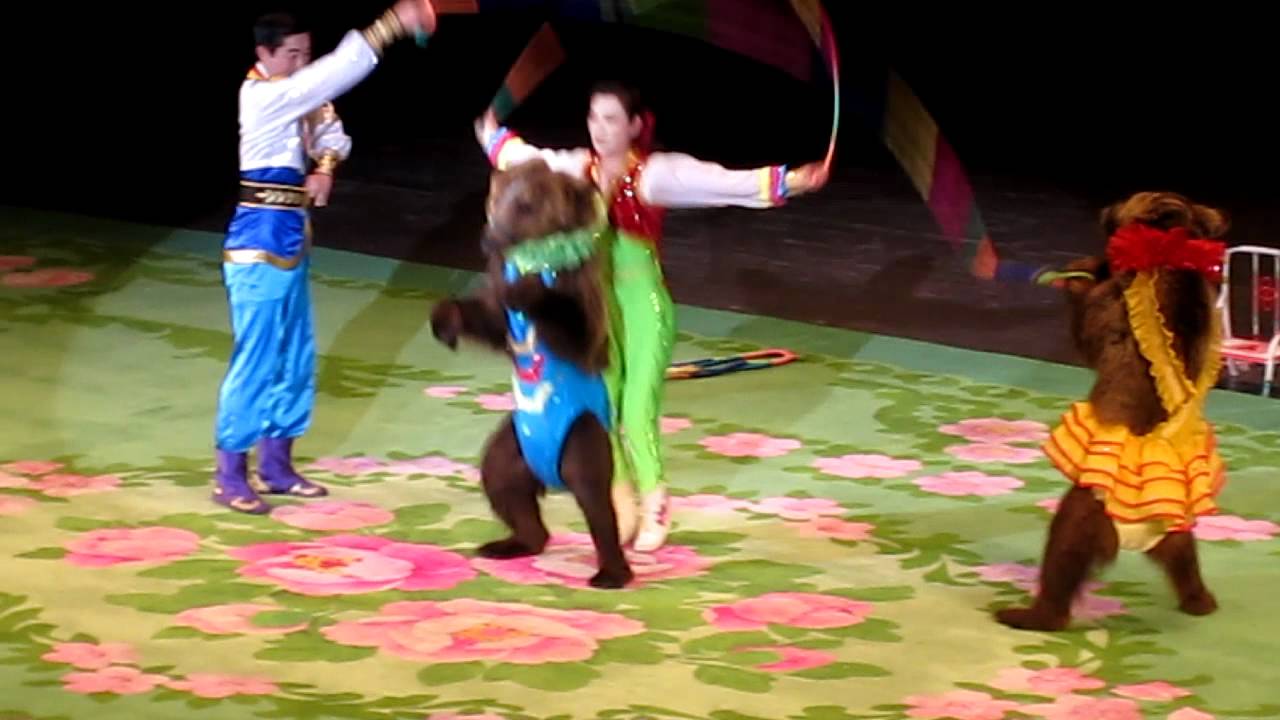 Bears Jumping Rope in Pyongyang, North Korea - YouTube