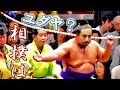 相撲の由来はユダヤ？「はっけよい、のこった」のヘブライ語主張を分析する