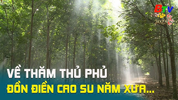 Về thăm thủ phủ đồn điền cao su năm xưa