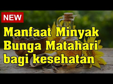 Video: Cara Menyimpan Minyak Bunga Matahari