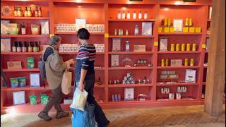 EXPLORE: Cleaner, Greener Living IRL at Planet Haus | SF Climate Week
