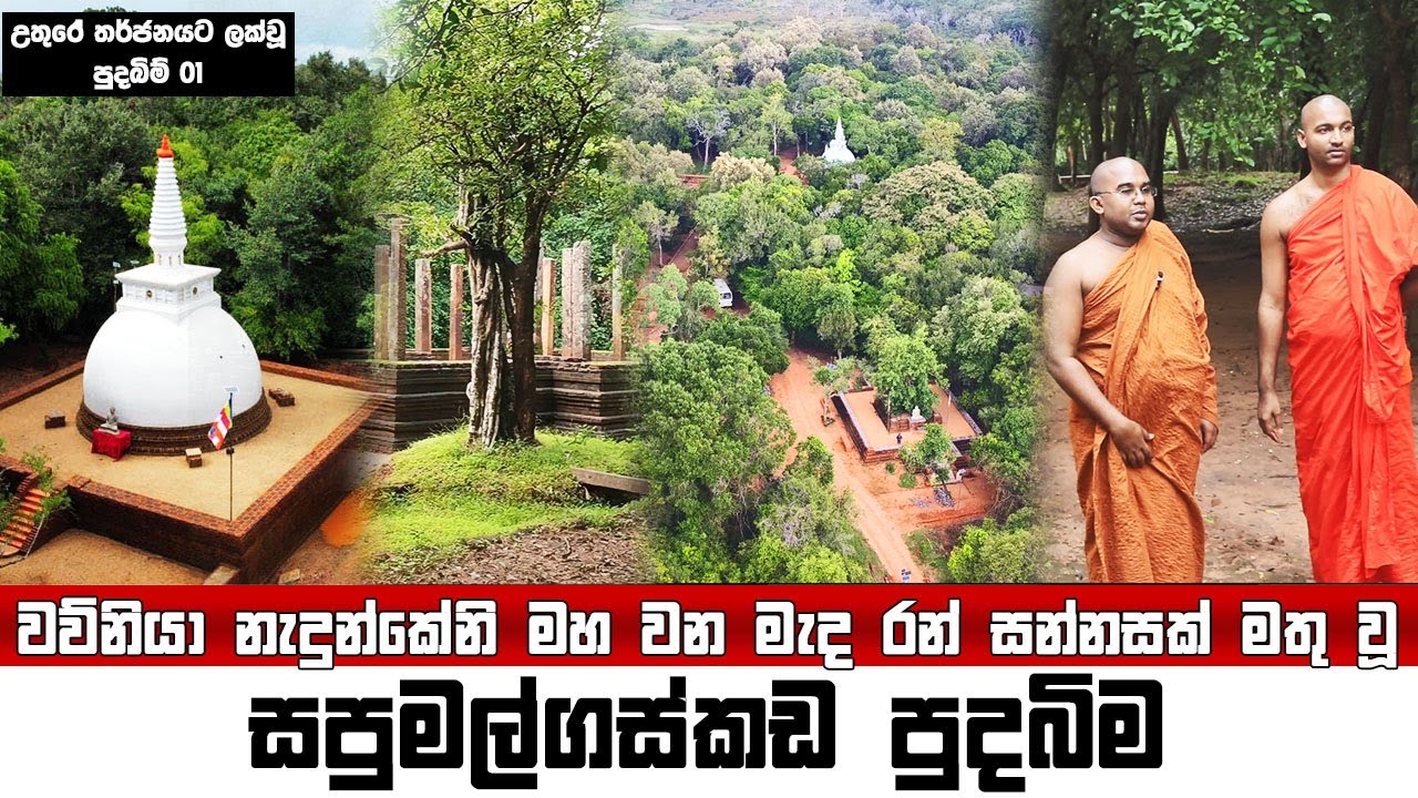 වව්නියා නැදුන්කේනි මහ වන මැද රන් සන්නසක් මතු වූ -  සපුමල්ගස්කඩ පුදබිම උතුරේ තර්ජනයට ලක්වූ පුදබිම් 01