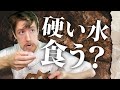 【コント】1ミリも調べてないかき氷の歴史
