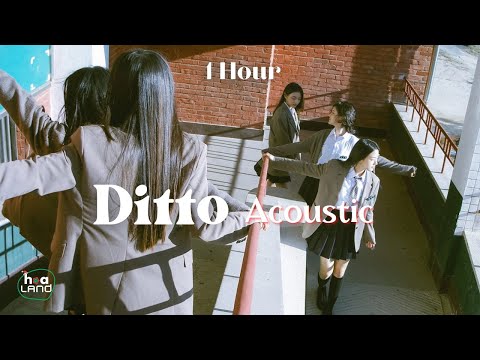 NewJeans - Ditto (Acoustic Live Ver.) 1 Hour Loop / Romanized Lyrics // 뉴진스 - Ditto 어쿠스틱 라이브 버전