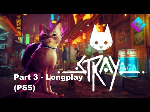 Stray - Part 3 - Longplay (PS5)|Username YT-Blessed_Gamer