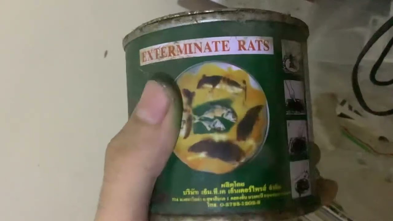 “N-Rat”
