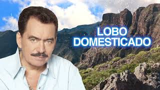 Watch Joan Sebastian Lobo Domesticado video