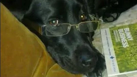 Rest Assured Home & Pet Care