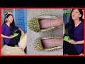 DÉP SẦU RIÊNG LÀ CÓ THẬT !!! Võ Thành Ý, Má Cám | Tik Tok Triệu View #195