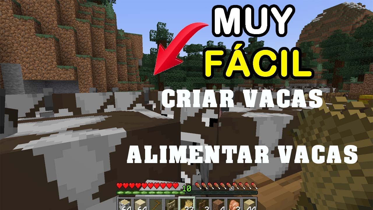 Como criar Vacas en Minecraft y Dar de comer - YouTube