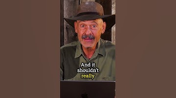 The Best Survival Rifle