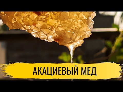 Мед. Акациевый мед