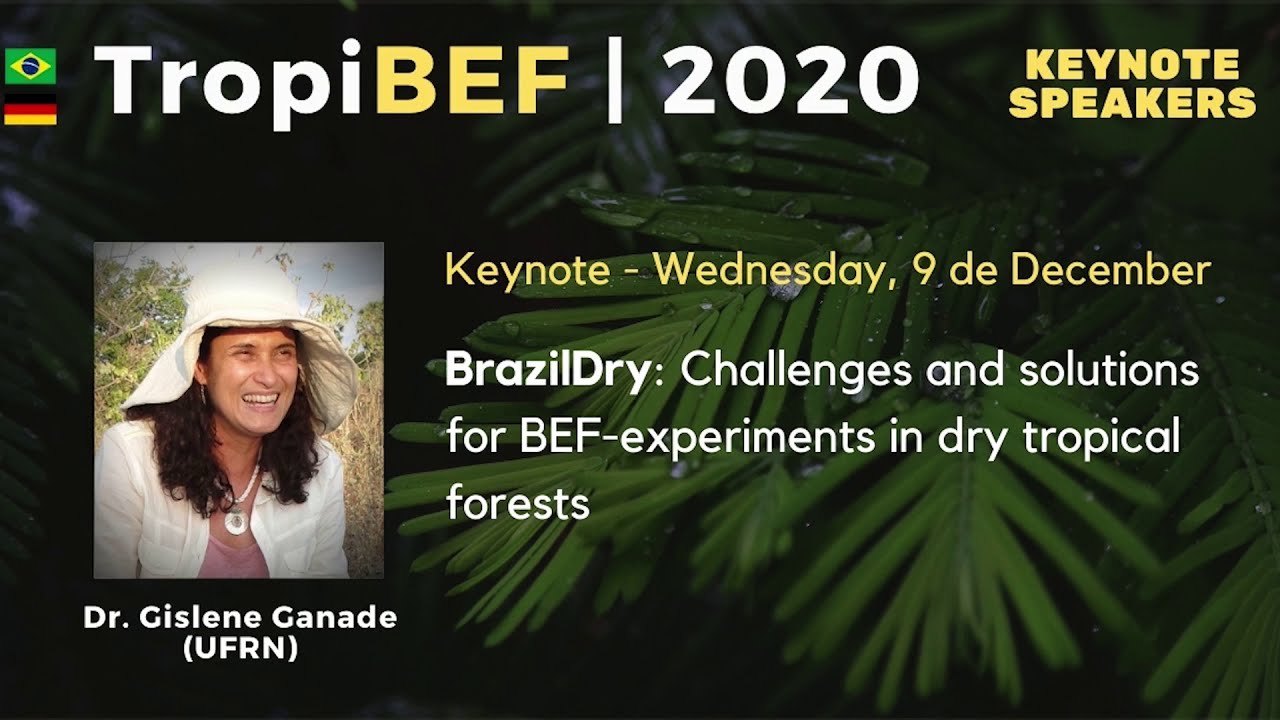 Workshop TropiBEF 2020 Day 2 - Keynote 4 - Gislene Ganade (UFRN)