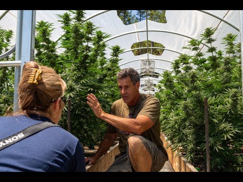 Cannabis Grower Profile - Huckleberry Hill Farms