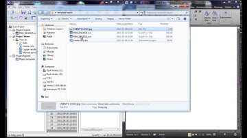 SvanPC++ Environmental Module. Report templates. Part1
