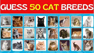 Guess 50 Cat Breeds in 5 Seconds | Are you a true pet lover Lets Test I Easy, Medium, Hard 3 levels
