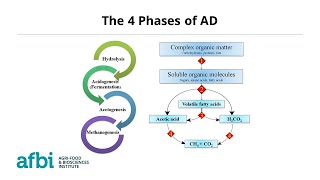 CHEMISTRY AT WORK- Anaerobic Digestion at AFBI