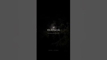 إِنَّما يَعمُرُ مَساجِدَ اللَّهِ مَن آمَنَ بِاللَّهِ | محمد صديق المنشاوي | سورة التوبة