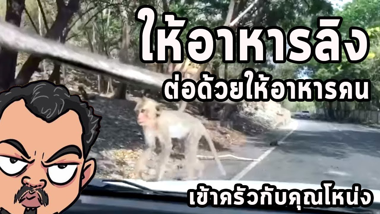 พาทีมงานให้อาหารลิง ต่อด้วยให้อาหารคน ศุภชัย เสมอมิตร โหน่งโชว์ l เข้าครัวกับคุณโหน่ง
