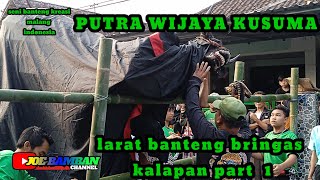 Download lagu Seni Bantengan malangan ngamok Ngepung part 1 ll PUTRA WIJAYA KUSUMA ll