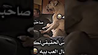 معنى حقيقي تعال العب بي لمن تكول صاحبك😂😂😂😂