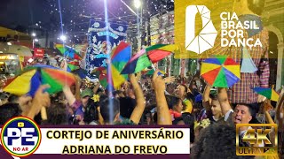 FREVO NO LARGO DO AMPARO - CIA BRASIL POR DANÇA COM FREVO E FESTA ...