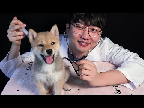 ASMR? Animal Hospital (with SHIBA)