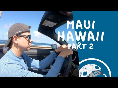 Video: Kuinka paljon Mustangin vuokraaminen Havaijilla maksaa?
