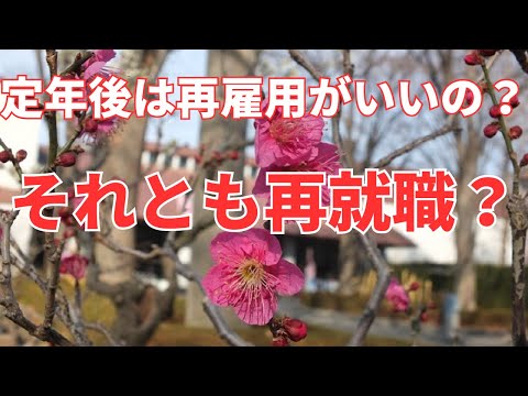 【定年後】再雇用か？それとも再就職か？