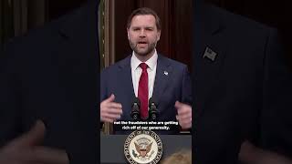 JD Vance: "No fraud is small enough or big enough to look away from"