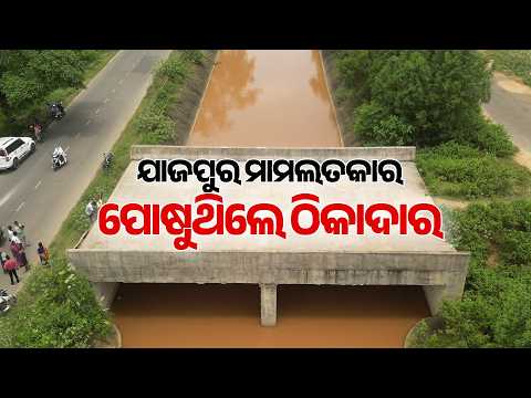 ଯାଜପୁରରେ ଠିକାଦାର ପୋଷାର ବଡ଼ ପ୍ରମାଣ| Jajpur Bridge Scam | Contractor Scam | BJDCorruption |ArgusNews