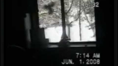 "Wake Up Call" Robin Messenger Hitting Window