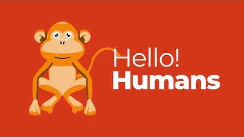 MageMonkeys  - A complete Magento eCommerce solution provider