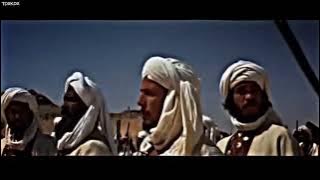 Pedang Zulfikar | Perang Badar | Story Wa ✓