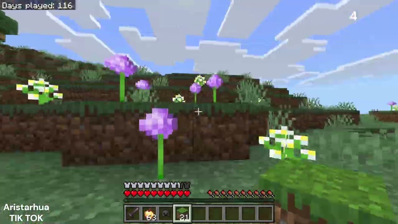 Кошки-мышки в Майнкрафте Hide and seek with minecraft mobs