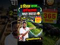 😳 2 दिवसात वर्षभराचा चारा तयार! | मुरघासची ही ट्रिक प्रत्येक शेतकऱ्याने जाणून घ्यावी 🌾🐃