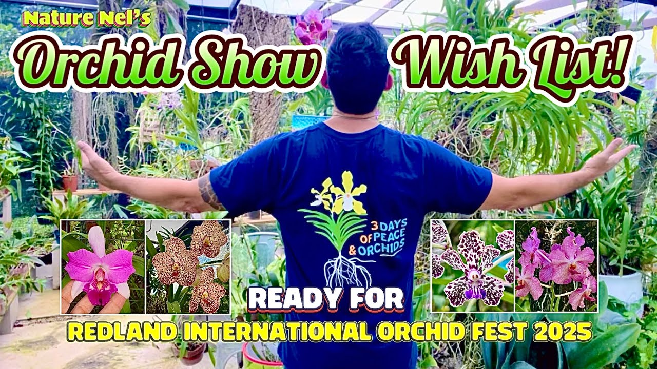 4K episode of rare beautiful orchids. Let’s create a wishlist for upcoming Redland Orchid Show