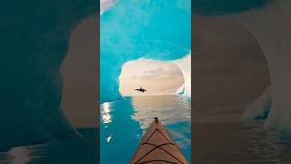 A little orca friend. #kayak #kayaking #virtualreality #vr #icywaters