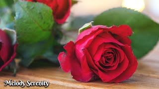 Падал снегснег🌺Самая красивая мелодия в мире🌿Лучшие композиции Сергея Грищука #6