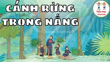 Tập đọc: CÁNH RỪNG TRONG NẮNG | Tuần 2 | Tiếng Việt Lớp 3 | Kết nối tri thức với cuộc sống